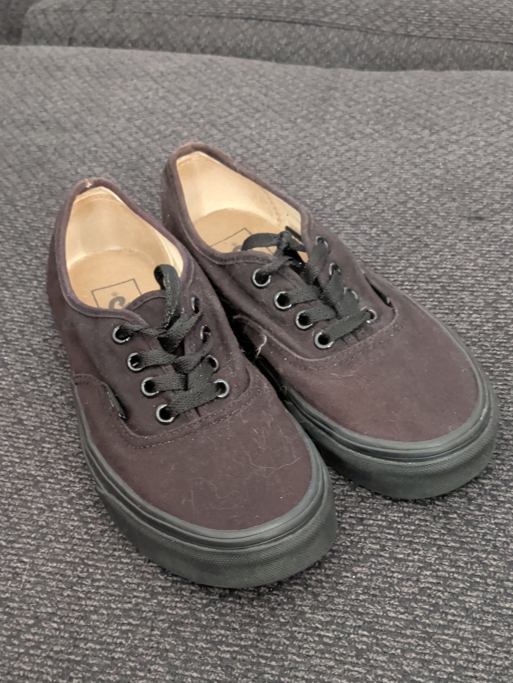 Vans Black Canvas Low-Top Lace-Up Sneakers